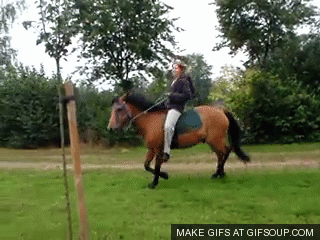 Featured image of post Funny Falling Off Horse Gif We all take a tumble now again so share your thrills spills here