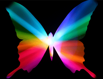 animated flying butterfly gif