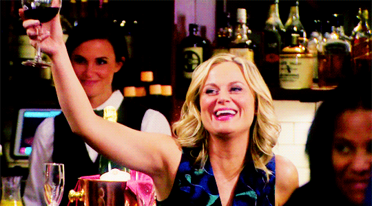 Leslie knope toast cheers GIF on GIFER - by Gavithis