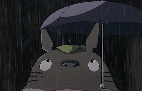 My Neighbour Totoro Gif On Gifer By Duk