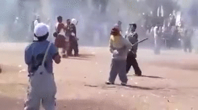 3lqs.gif