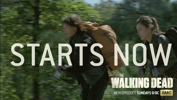 Nature sunflower flower GIF on GIFER by Sharpseeker