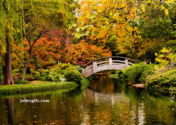 Autumn GIF on GIFER - by Faule