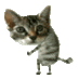 3pKc.gif