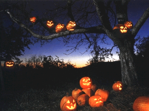 Nature halloween autumn GIF on GIFER by Kern