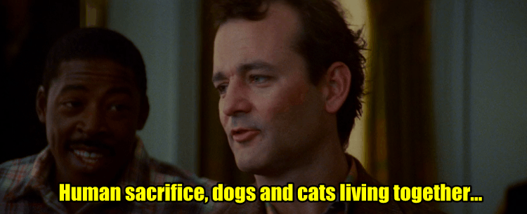 Image result for ghostbusters dogs and cats gif