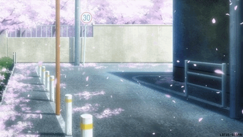 GIF high school of the dead anime scenery sakura tree - animated GIF on  GIFER - by Sirarn