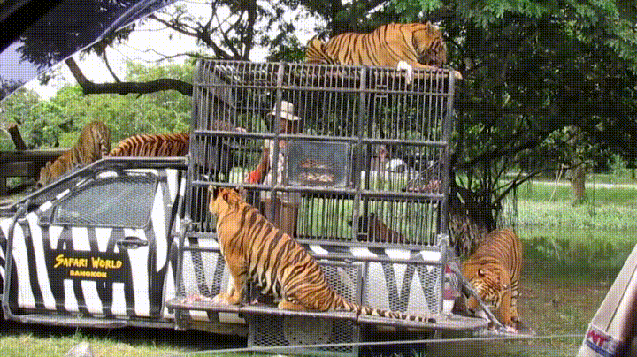 https encrypted tbn0 gstatic com images q tbn and9gcsp4s9gcb9g jpi6lt4wpc78dynb4gevdijeg usqp cau