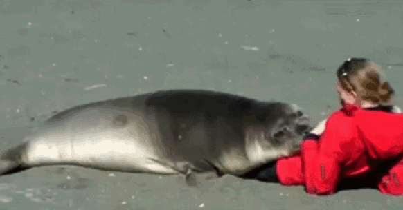 https://i.gifer.com/3u5A.gif