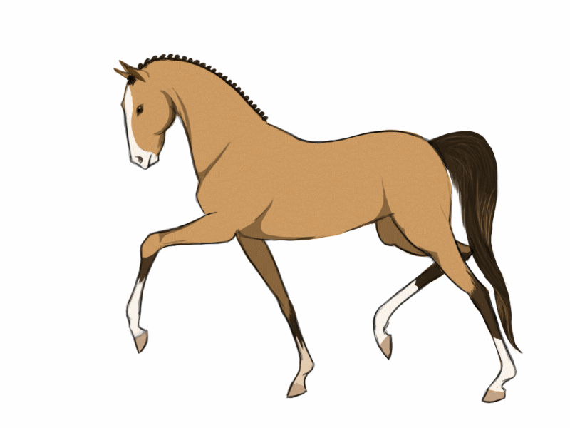 cavalo gifs