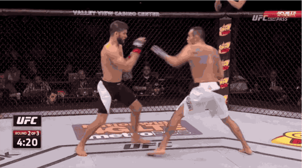 Mma GIF on GIFER by Meztigore