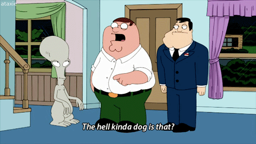 Family Guy American Dad