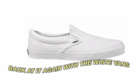 white vans daniel
