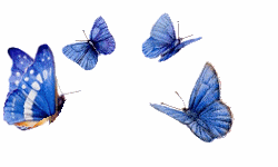 GIF butterflies - animated GIF on GIFER - by Pegamand