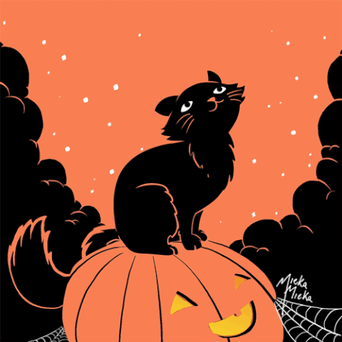 Image result for halloween black cat gif