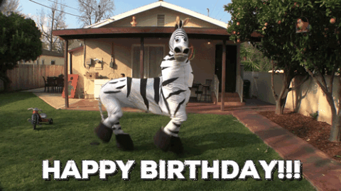 Birthday Happy Birthday Happy Birthday Funny Gif On Gifer By Nedal