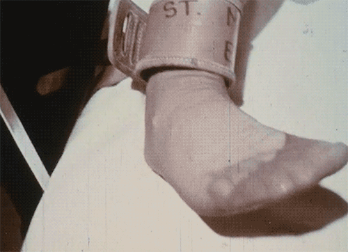 Alfred higgins production bound GIF on GIFER - by Tygrarn