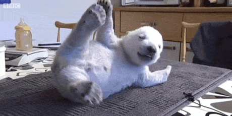 Gif Animado De Urso Acenando Alguns Gifs Animados Que Eu Fiz Sem