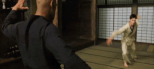 Martial arts GIF on GIFER - by Faulkis