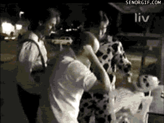 Enfants Schlag Golpe Gif Find On Gifer