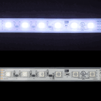 Loop spider freeze GIF on GIFER by Mitilar