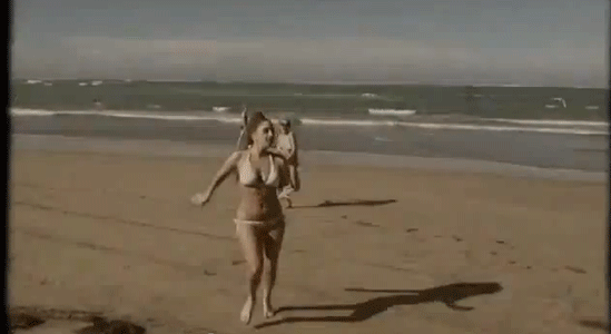 Beach Gaga Puerto Rico Gif On Gifer By Kirinadar Animated Gif Beach Gaga Puerto Rico Share Or The Fame