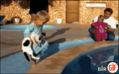 4KZE.gif