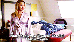 Gif Spitfire Forum Birthday Animated Gif On Gifer By Kalar