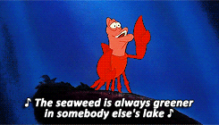 Part Of Your World Disney Song Arielle Gif On Gifer By Aumand