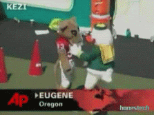 4OFW.gif