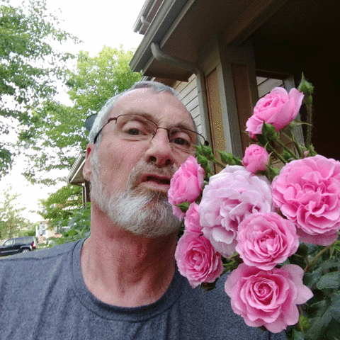Smelling The Roses Gif GIF rob roses smell - animated GIF on GIFER - by Ariuswyn