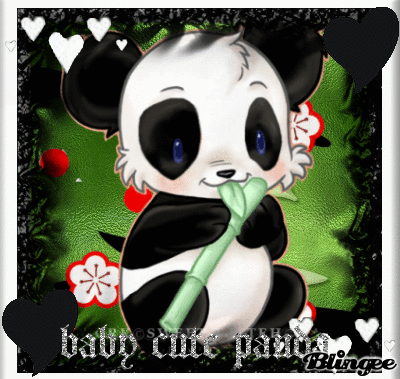 Gif Baby Panda Animated Gif On Gifer By Dalhala