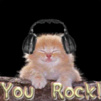 U Rock Memes YOU GUYS ROCK! YOU GUYS ROCK! Success Kid