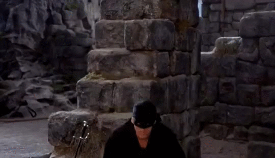The dread pirate roberts GIF on GIFER - by Tera