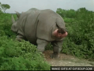 4et.gif