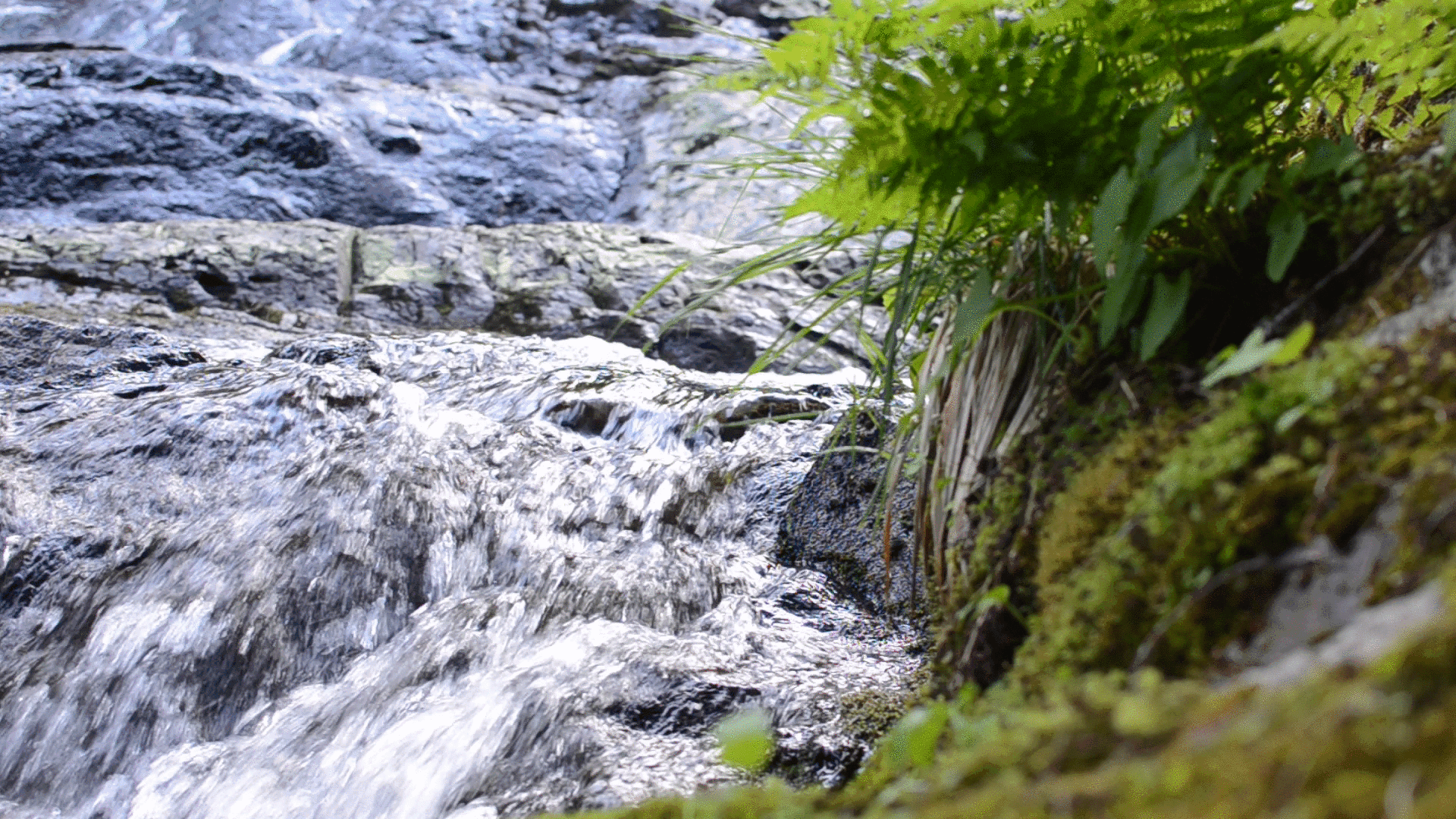 Анимация природа. Водопад. Река течет. Живые водопады. Шум бегущей воды