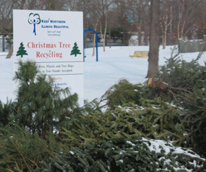 Bear GIF on GIFER by Minris