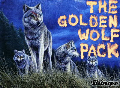 The Pack  An Anime Wolf Book  Book 261498