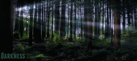 GIF floresta - GIF animado em GIFER - de Nualen