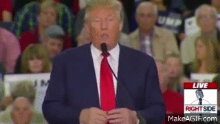 Donald trump GIF on GIFER - by Beazesius