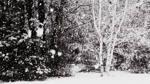 GIF christmas winter wonderland snow - animated GIF on GIFER - by Granilune
