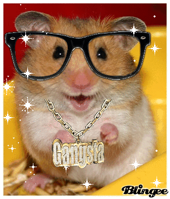 Sad hamster violin hamster. Хомяк. Хомячок гифка. Крутой хомяк. Хомяк анимация.