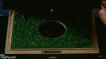 4tKK.gif