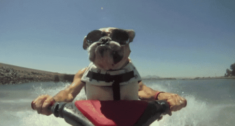 Summer GIFs - Get the best gif on GIFER