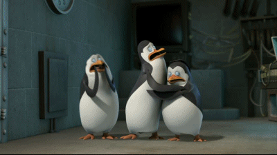 Penguin club penguins GIF on GIFER - by Cordarius