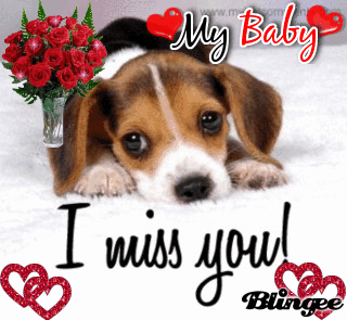 Gif Bebe Enfant Baby Animated Gif On Gifer By Marizel