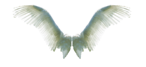 Transparent wings angel GIF on GIFER - by Akisida