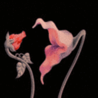 Flower animation pink GIF on GIFER - by Shaktijinn