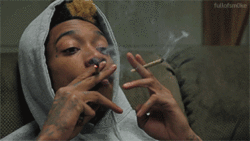 4z6w.gif