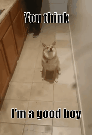 Carol Burnett The Show Mycarols Gif On Gifer By Kathis